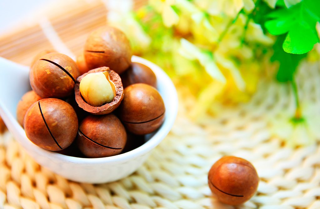 Macadamia nuts: tasty, healthy and energetic