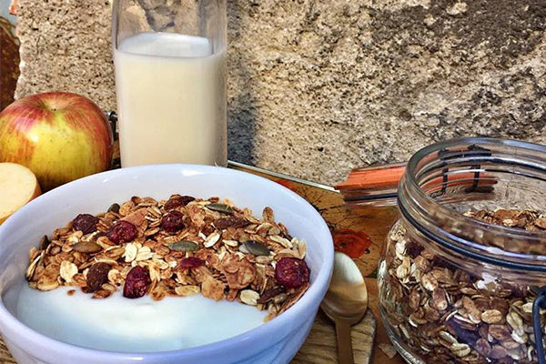 Proveedores de granola en España